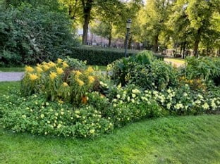 Aire de jeux -galerie-images-blumenthal-00006.jpeg