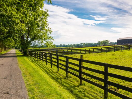 Country,Road,Along,The,Horse,Farms.